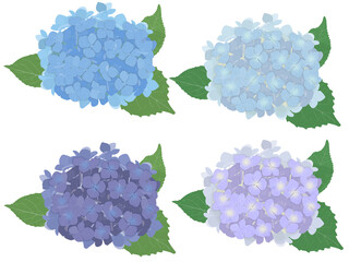 青系紫陽花4色セット（A）