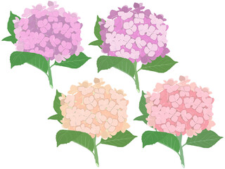 ピンク系紫陽花茎付き４色セット（B）