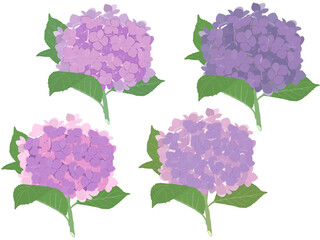 紫系紫陽花茎付き４色セット（B）