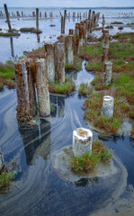 Self-settling salt on wooden logs. Hypersaline water in a drying lake, an environmental problem....