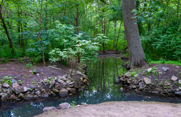 Artificial small river in the park under the trees, Askania-Nova, Ukraine