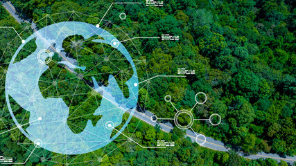 Fototapety na wymiar - Fototapeta24.pl