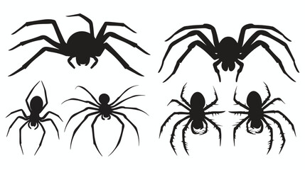 Four of spiders silhouettes isolated on white background