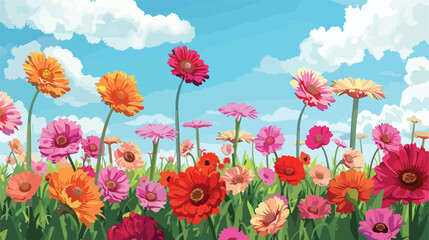 Fresh Gerbera field. Beautiful flowers Cartoon Vector
