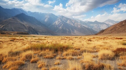 Fototapeta premium The mountains and parched grass