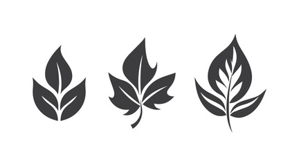 Set of leaf vector illustration