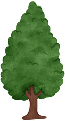 Illustration of a tree Hand drawn watercolor style