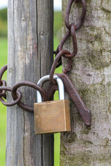 Padlock with chain on the fence