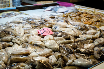 Fresh seafood and fishes at the fish market. transaction in fish market.