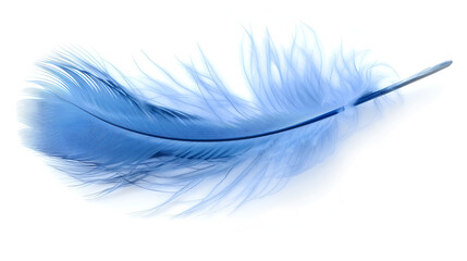 Blue fluffy feather isolated on the white background, generative AI