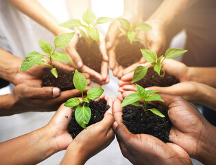 Group, hands and circle with plants for earth day or environment, sustainability and ecology for...