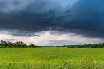 Obraz premium Thick thunderclouds over a wheat field landscape