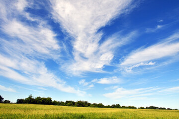 Fototapeta premium Clouds in Bright Blue Sky