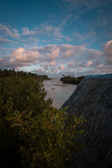 A view on Sulangan Mangrove Park in Easter Samar