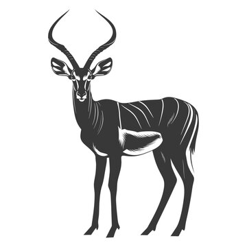 Silhouette impala animal full body black color only