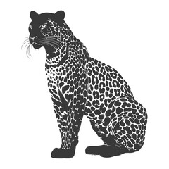 Silhouette Leopard animal full body black color only