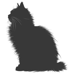 Silhouette long hair cat animal full body black color only