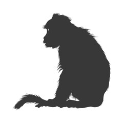 Silhouette macaque animal full body black color only