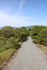 Pine Tree Avenue in Shugakuin Imperial Villa, Kyoto, Japan