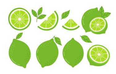 Lime Vector Illustration Isolated on White Background. Whole Summer Fruit with Halves, Slices and Leaves Set.