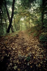 A forest path is shown with a lot of leaves on the ground. The path is surrounded by trees and the leaves are scattered all over the ground. Scene is peaceful and serene, as the forest path is quiet