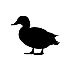 Mallard duck silhouette isolated on white background. Duck icon vector illustration design.