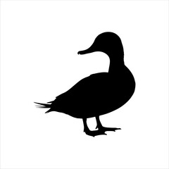 Black gadwall duck silhouette isolated on white background. Duck icon vector illustration design.