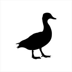 Pintail duck silhouette isolated on white background. Duck icon vector illustration design.
