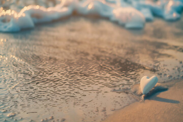 shell on sand, generative ai 