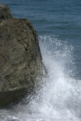 El denominador comun de la region es el agua,desde unas playas de colores esmeralda hasta los numerosos rios de agua dulce.