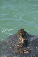 El denominador comun de la region es el agua,desde unas playas de colores esmeralda hasta los numerosos rios de agua dulce.