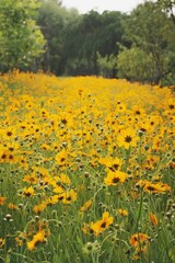 a cluster of yellow flowers