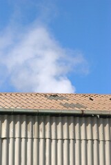 El denominador comun de la region es el agua,desde unas playas de colores esmeralda hasta los numerosos rios de agua dulce.