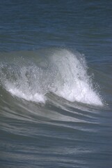 El denominador comun de la region es el agua,desde unas playas de colores esmeralda hasta los numerosos rios de agua dulce.