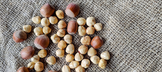 Ripe filbert kernels and hazelnuts in shell on burlap background. Top view. Copy space. Healthy nutrition. Shallow depth of field. Selective focus.
