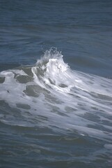 El denominador comun de la region es el agua,desde unas playas de colores esmeralda hasta los numerosos rios de agua dulce.