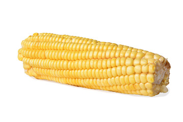 corn natural food healthy delicious vegan cooked green corn isolated on transparent white background