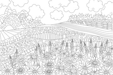 coloring book page for adults and children. cloudy rustic scenic