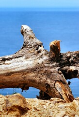 Fondos y texturas,basta mirar a nuestro alrededor y podemos encontrar imagenes que solo un ojo...