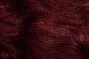 Dark red hair close-up as a background. Women's long brown hair. Beautifully styled wavy shiny curls. Coloring hair with bright shades. Hairdressing procedures, extension.