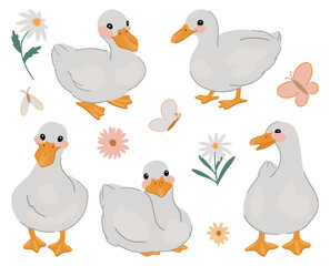 Collection of cute ducks. Pretty white gooses set. Contemporary vector illustration isolated on white background.