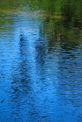El denominador comun de la region es el agua,desde unas playas de colores esmeralda hasta los numerosos rios de agua dulce.
