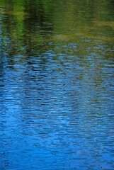 El denominador comun de la region es el agua,desde unas playas de colores esmeralda hasta los numerosos rios de agua dulce.
