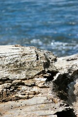 Fondos y texturas,basta mirar a nuestro alrededor y podemos encontrar imagenes que solo un ojo entrenado como el de un fotografo puede 