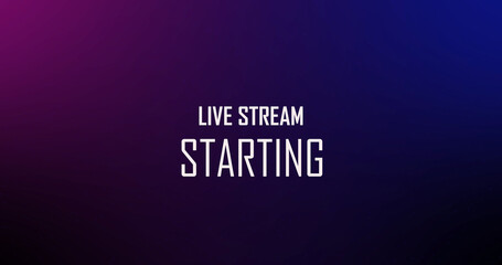 Live Streaming Background Frame - Animated Neon Overlay Template, Gaming Overlay OBS or Streamlabs Studio hi-tech overlay for streamers. Features transparent section for desktop scene and face cam, 