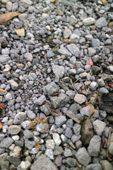 hundreds of small, brightly colored pebbles in a garden