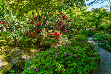 Seattle Garden Landscape 3