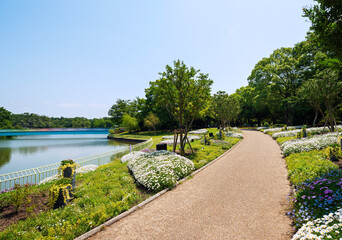 長居植物園の風景