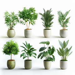 Obraz premium Modern indoor plants, featuring a white background without shadows, perfect for incorporating into interior design elements