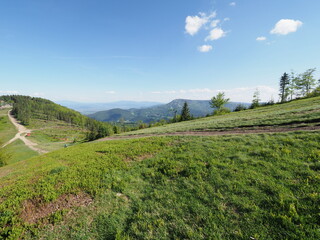 Obraz premium View of Klimczok mount 1117 m in Silesian Beskids near European Bielsko-Biala city in Poland